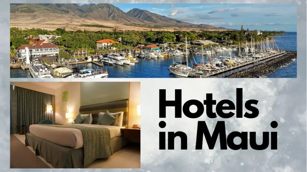 hotels in maui