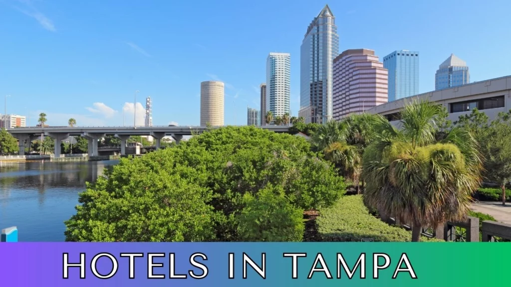 hotels in tampa